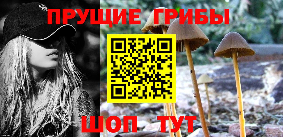 Псилоцибиновые грибы Magic Shrooms  Вход с VPN  Чернушка 
