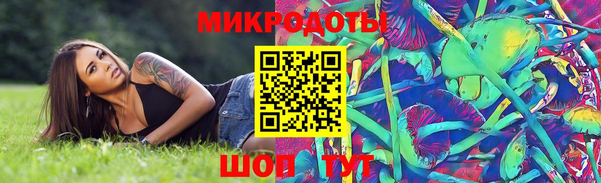 Галлюциногенные грибы MAGIC MUSHROOMS Чернушка